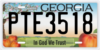 GA license plate PTE3518