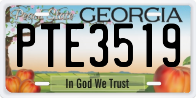 GA license plate PTE3519