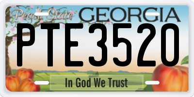 GA license plate PTE3520