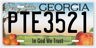 GA license plate PTE3521