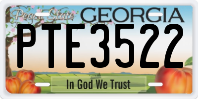 GA license plate PTE3522