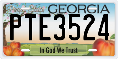 GA license plate PTE3524