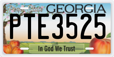 GA license plate PTE3525