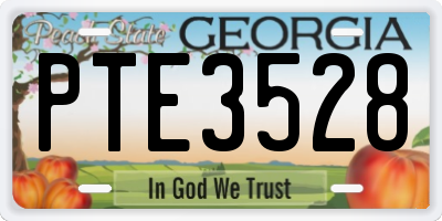 GA license plate PTE3528