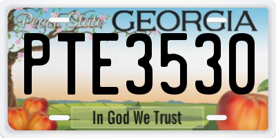 GA license plate PTE3530