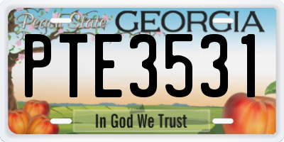 GA license plate PTE3531