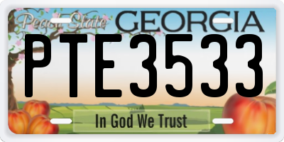 GA license plate PTE3533
