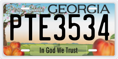 GA license plate PTE3534
