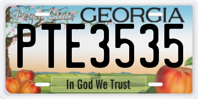 GA license plate PTE3535