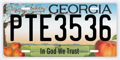 GA license plate PTE3536