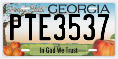 GA license plate PTE3537