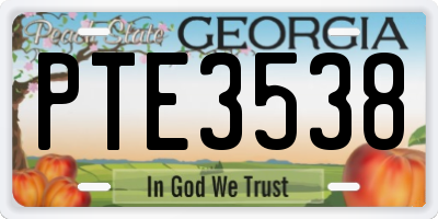 GA license plate PTE3538