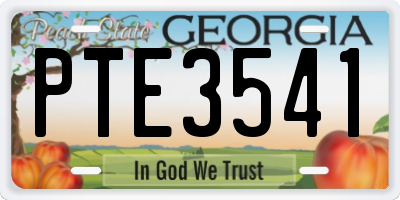 GA license plate PTE3541