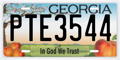 GA license plate PTE3544
