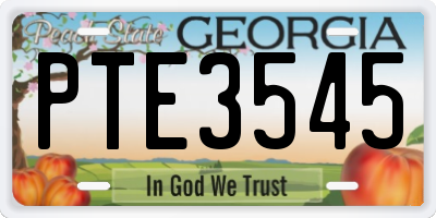 GA license plate PTE3545