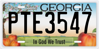 GA license plate PTE3547