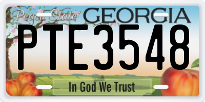 GA license plate PTE3548