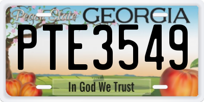 GA license plate PTE3549