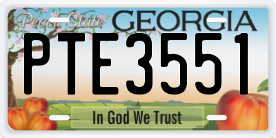 GA license plate PTE3551