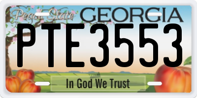 GA license plate PTE3553