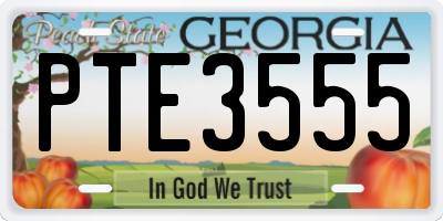 GA license plate PTE3555