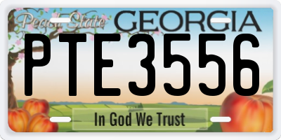 GA license plate PTE3556