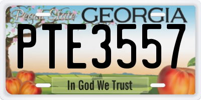 GA license plate PTE3557