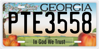 GA license plate PTE3558