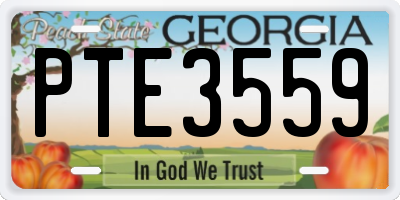 GA license plate PTE3559
