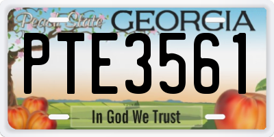 GA license plate PTE3561
