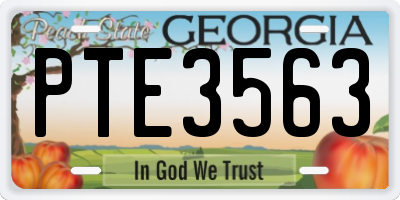 GA license plate PTE3563