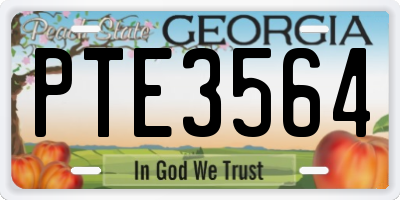 GA license plate PTE3564