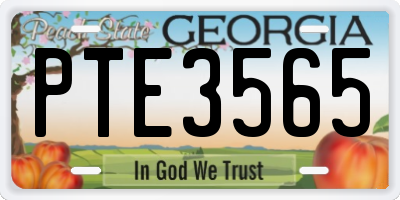 GA license plate PTE3565