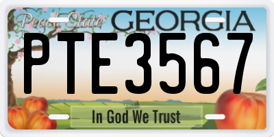 GA license plate PTE3567