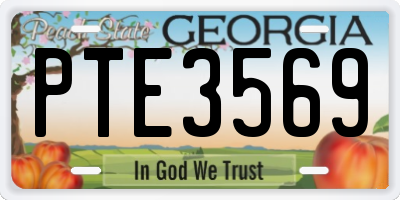GA license plate PTE3569