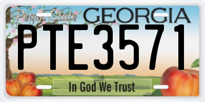 GA license plate PTE3571