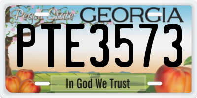 GA license plate PTE3573
