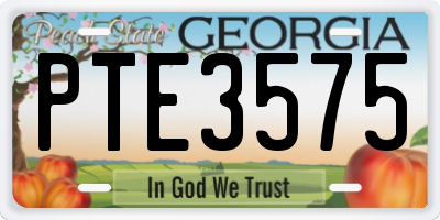 GA license plate PTE3575
