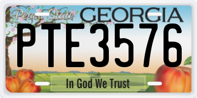GA license plate PTE3576