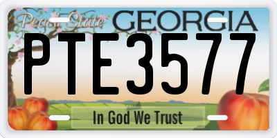 GA license plate PTE3577