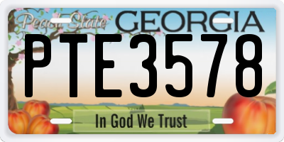 GA license plate PTE3578