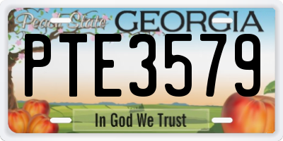 GA license plate PTE3579