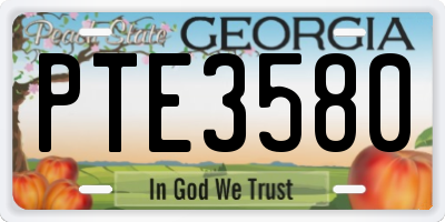 GA license plate PTE3580
