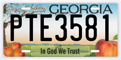 GA license plate PTE3581