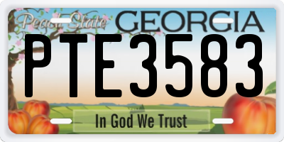 GA license plate PTE3583