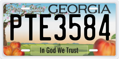 GA license plate PTE3584