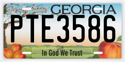 GA license plate PTE3586