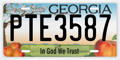 GA license plate PTE3587