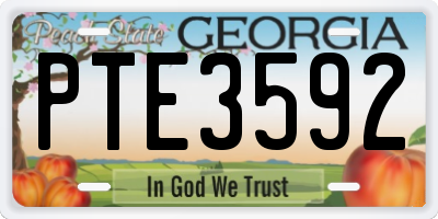 GA license plate PTE3592