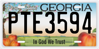 GA license plate PTE3594